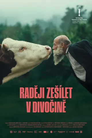 Plakat: Dzikie szaleństwo