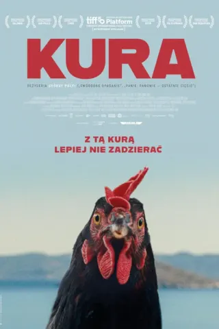 Plakat: Kura