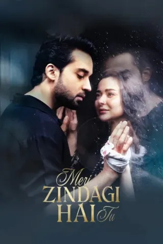 Plakat: Meri Zindagi Hai Tu