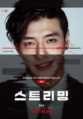 Plakat: Streamer
