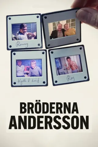 Plakat: Bracia Andersson