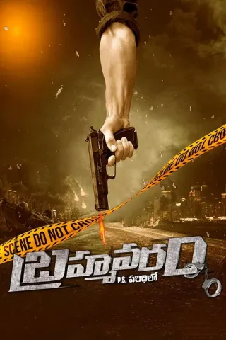 Plakat: Brahmavaram PS Paridilo