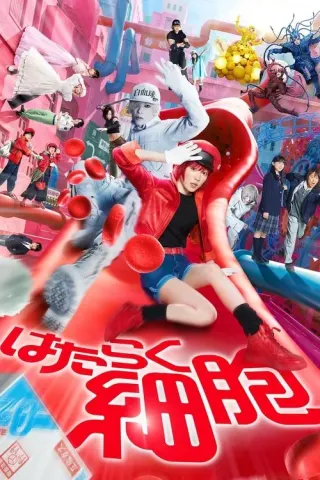 Plakat: Cells at Work!
