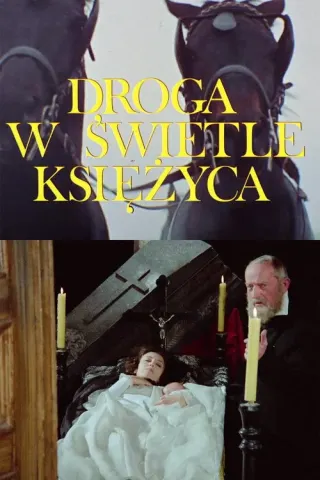 Plakat: Droga w świetle księżyca