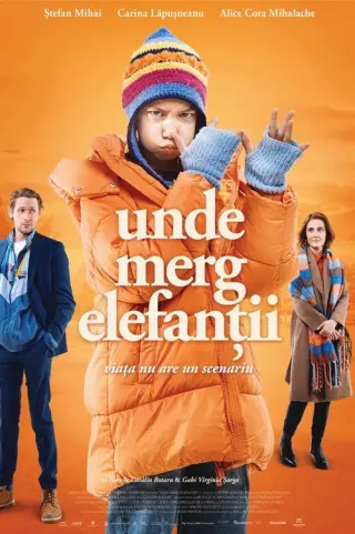 Plakat: Gdzie idą słonie