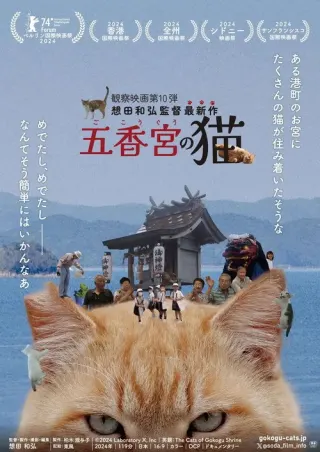 Plakat: Koty z Gokogu