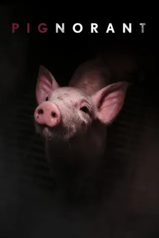 Plakat: Pignorant