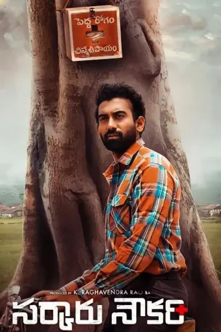 Plakat: Sarkaaru Noukari