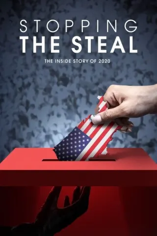 Plakat: Stopping the Steal