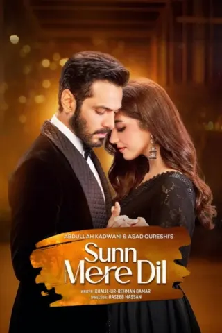 Plakat: Sunn Mere Dil