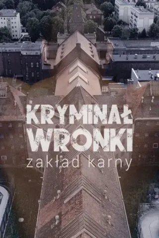 Plakat: Kryminał Wronki