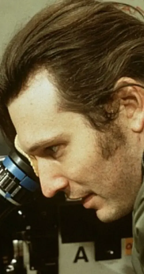 Peter Hewitt – reżyser