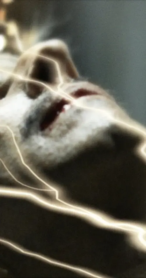 Vangelis Mourikis – aktor, scenarzysta